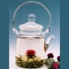 Glass teapot, Bloomingtea, 300 ml